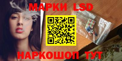 трава Кандалакша
