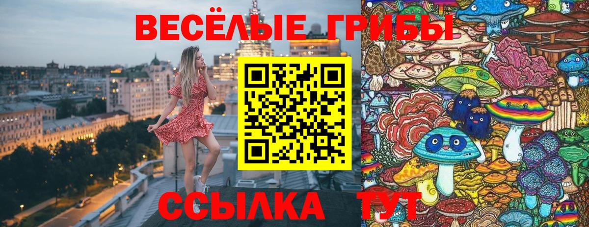 Галлюциногенные грибы прущие грибы Кушва